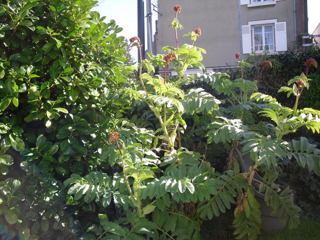 Appartement La Loob Gites De Daumesnil Etage Morlaix Ruang foto